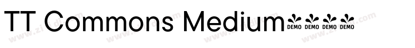 TT Commons Medium字体转换